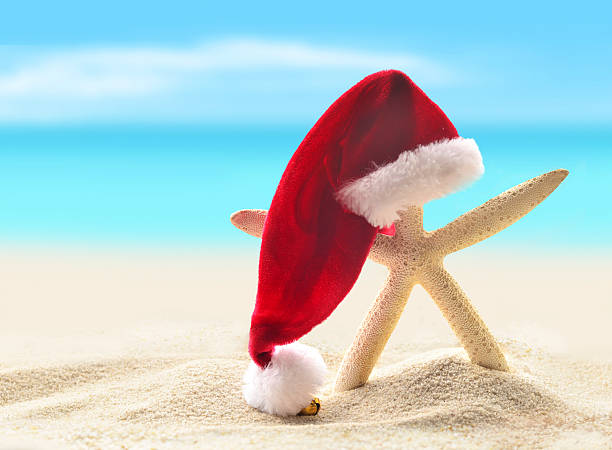 istock Sea-star in santa hat walking at sea sandy beach. 486944260