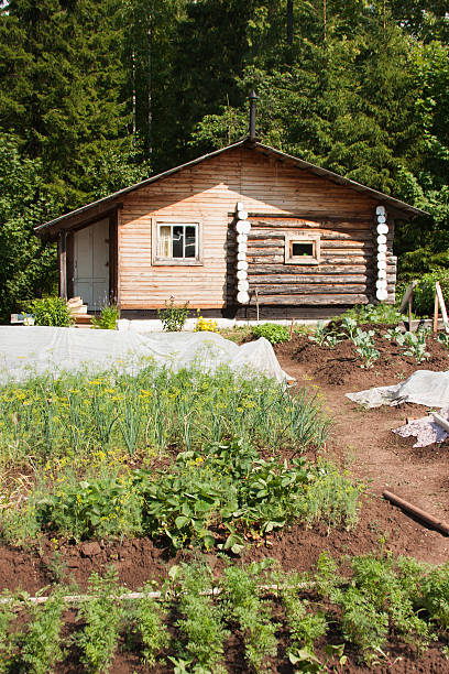 istock wooden bath-house on a suburban 486944684
