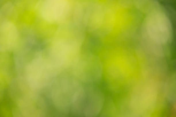 istock Green natural background 486949750