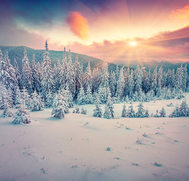 istock Colorful winter sunrise in the mountains. 486952304
