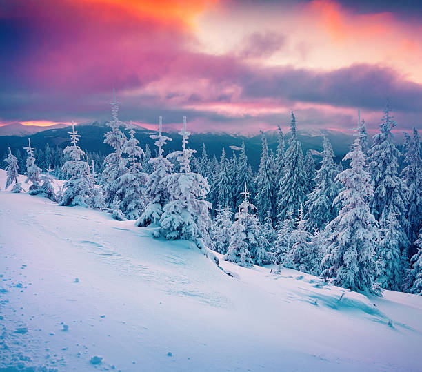istock Colorful winter sunrise in the mountains. 486952338