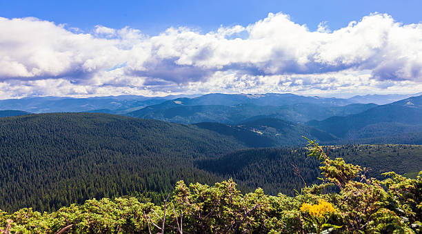 istock Montenegrin ridge in Carpathians 486952650