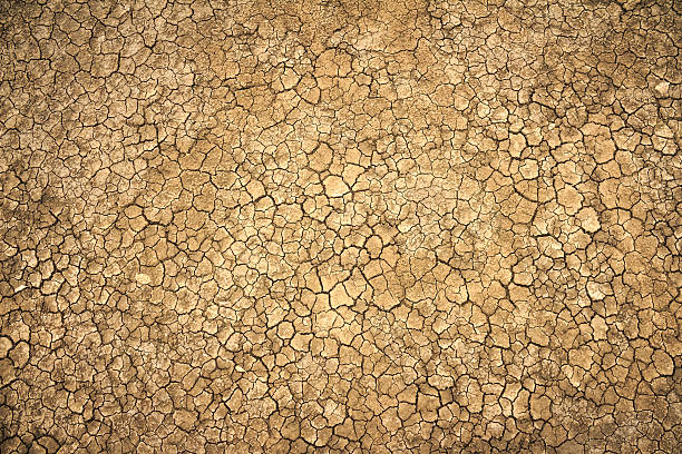 cracked clay terreno en la temporada seca - árido fotografías e imágenes de stock