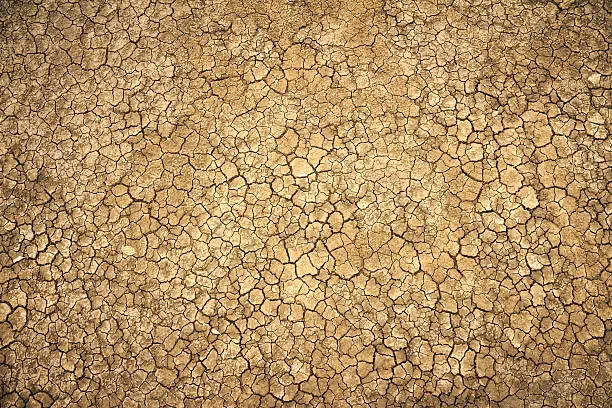 Photo of cracked clay ground into the dry season