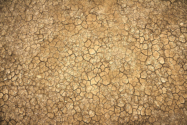 clay solo rachado na estação seca - cracked dirt clay desert - fotografias e filmes do acervo