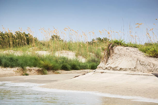 spiaggia di dune - sand dune cumberland island beach sand foto e immagini stock