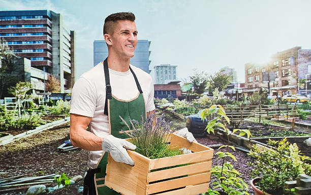 istock Smiling male gardener in vegetable garden 486963458