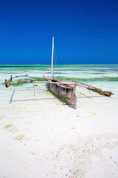 istock Dongwe in Zanzibar. 486963528