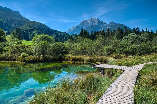 a bem do rio sava em julian dos alpes - river sava imagens e fotografias de stock