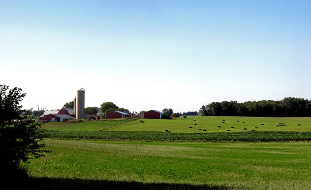 istock Farm Field Hay in the Fall Panorama 486965626