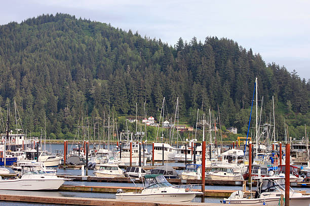 istock Boat basin on the Oregon coast with mountains in the background 486966690