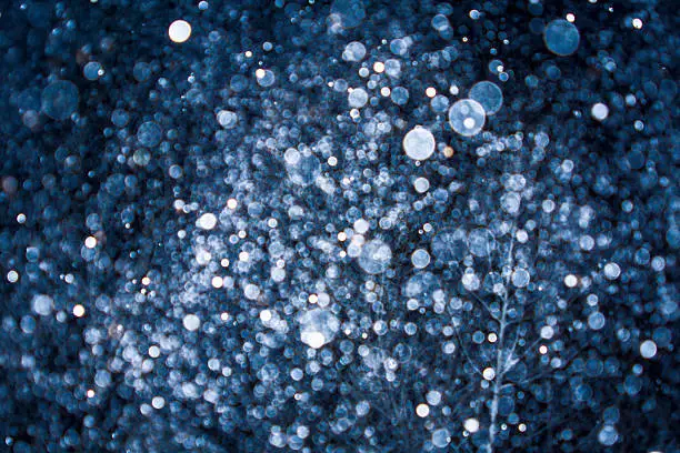 bright, round snowflakes falling against dark blue night sky, close up