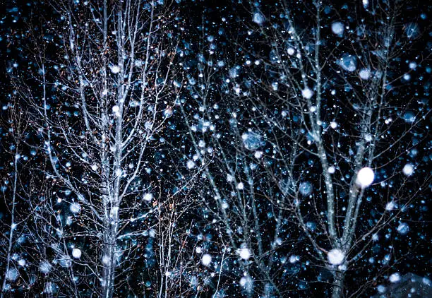 abstract of blurred snowflakes among bare trees with dark blue night sky