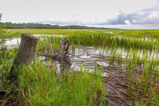 istock Village Creek Vista 2 486970382
