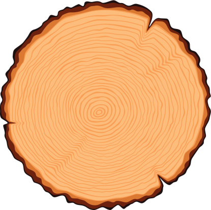 Wooden Cross Section