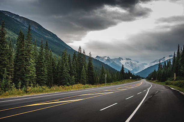istock Driving on the transcanada highway - Alberta, Canada 486972428