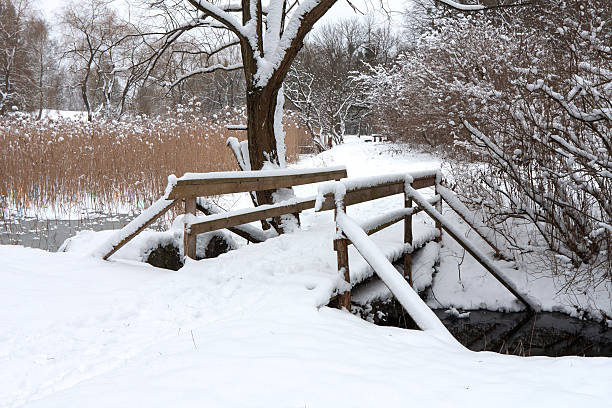 istock wooden bridge in park 486974874