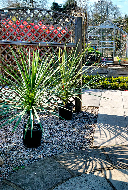 istock Garden Patio and Plants 486975235