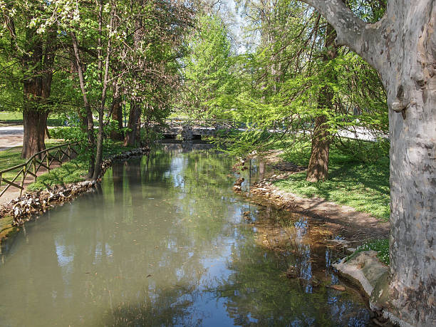istock Sempione Park in Milan 486977077