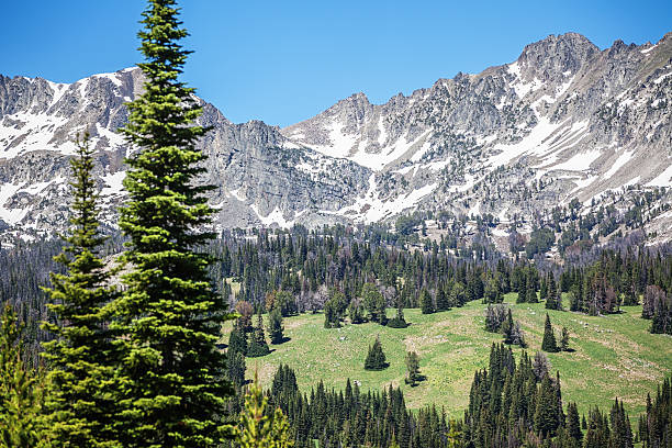 big sky montañas rocosas, montana - bozeman fotografías e imágenes de stock