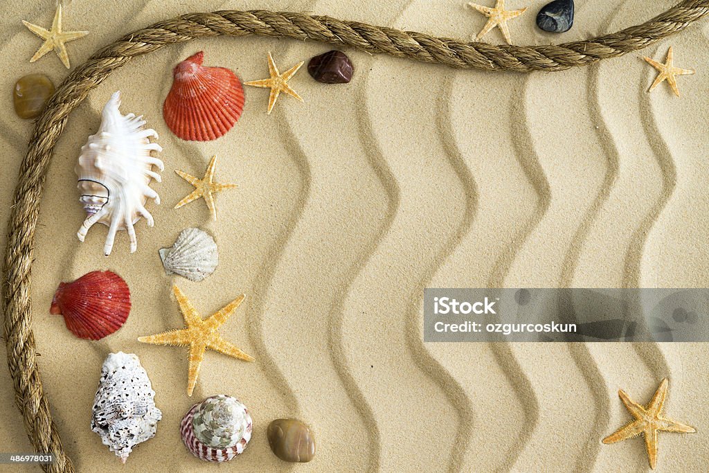 Pebbles and seashells on rippling sand with a rope Pebbles, starfish and a collection of seashells on rippling golden sand with a decorative wave pattern and a rope border, with copyspace Animal Markings Stock Photo