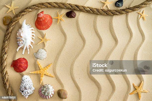 Pebbles And Seashells On Rippling Sand With A Rope Stock Photo - Download Image Now - Animal Markings, Animal Shell, Arrangement