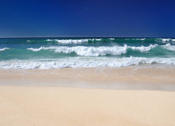 Surfers at North Shore, Oahu, Hawaii