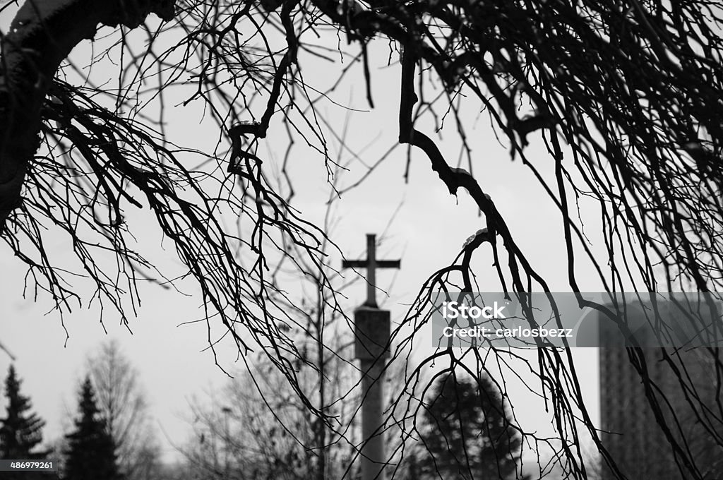 cross cross behind brunches Atmospheric Mood Stock Photo