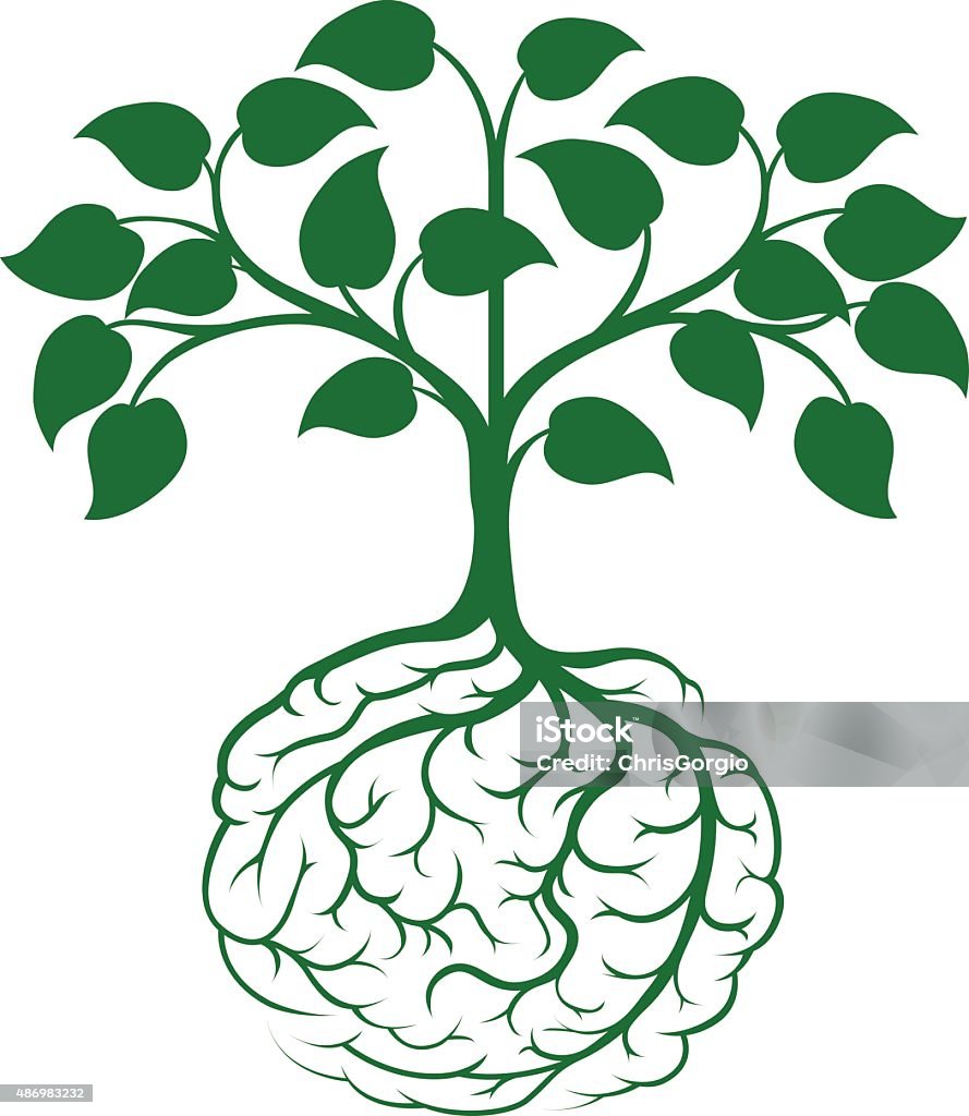 Brain root tree A tree growing from rooots shaped like a human brain Root stock vector