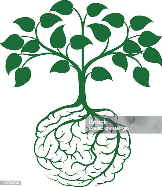 Brain Root Tree Stock Illustration - Download Image Now - Root, Tree, Growth