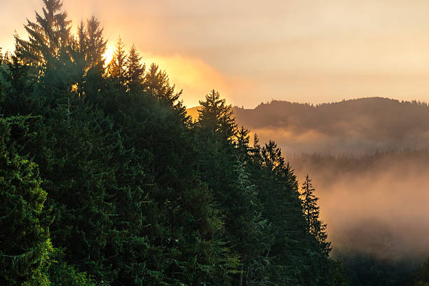 istock Smokey orange sunrise over mountains 486983572
