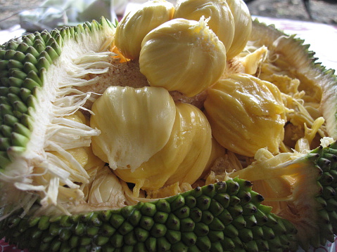 A Jack-fruit in Vietnam