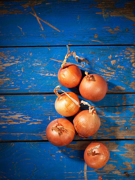 Onion on table stock photo