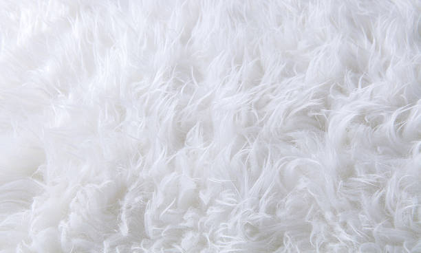 istock close up texture of fur carpet 486988162