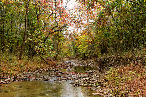 Fall Creek – zdjęcie