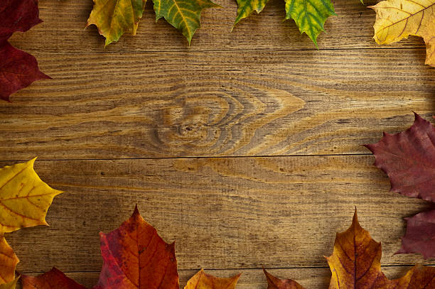 istock Colorful autumn leaves. Background. 486994564