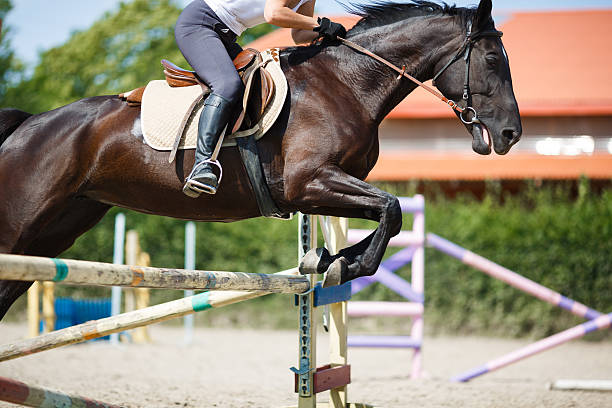 istock Horse rider jumping 486996186