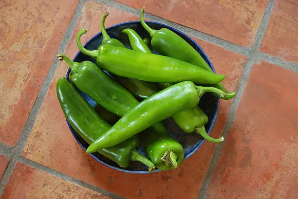 A group or bunch of fresh bright Southwest green chiles, in a round ceramic bowl.  The chiles are freshly washed and have water droplets.  They have names like New Mexican green chiles, Anaheim chile peppers, Sandias, Big Jim and Hatch green chiles.  They sit on authentic terra cotta tiles from Mexico.