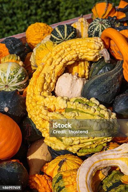 Gourds For Sale At Farmers Market Stock Photo - Download Image Now - Autumn, Decoration, Farmer's Market