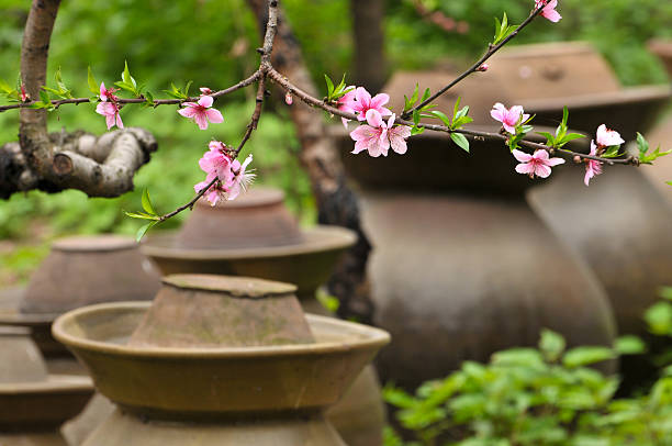 istock Beauty in nature 486999151
