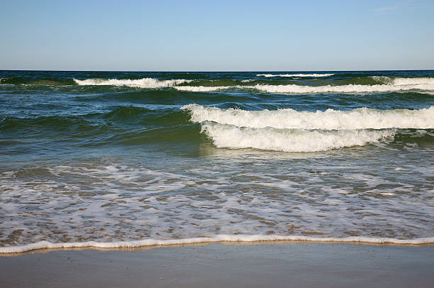 istock Baltic sea beach and waves 486999386