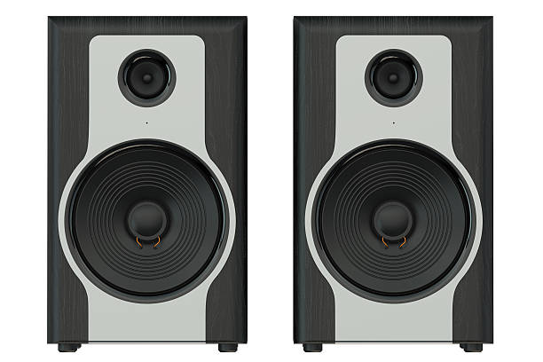 istock wooden loudspeakers 487000898