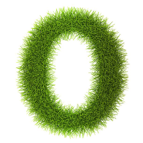istock Grass style Latin Alphabet Letters and Numbers 487000977