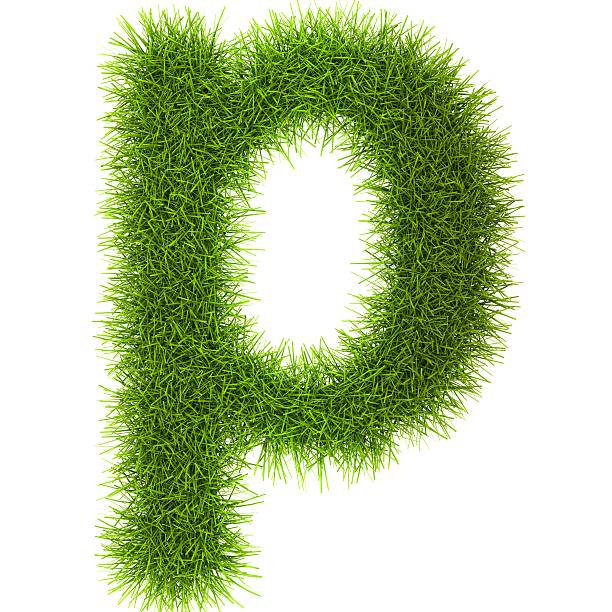 istock Grass style Latin Alphabet Letters and Numbers 487000983