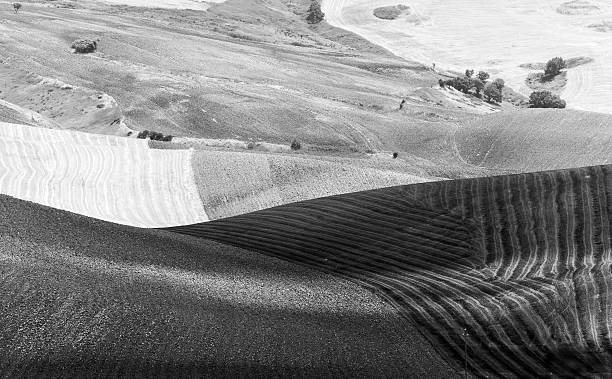 istock Italian country landscape at summer 487001094
