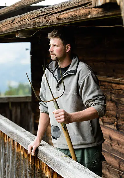 A farmer in Switzerland watches from the balcony of his wooden farm over his cows