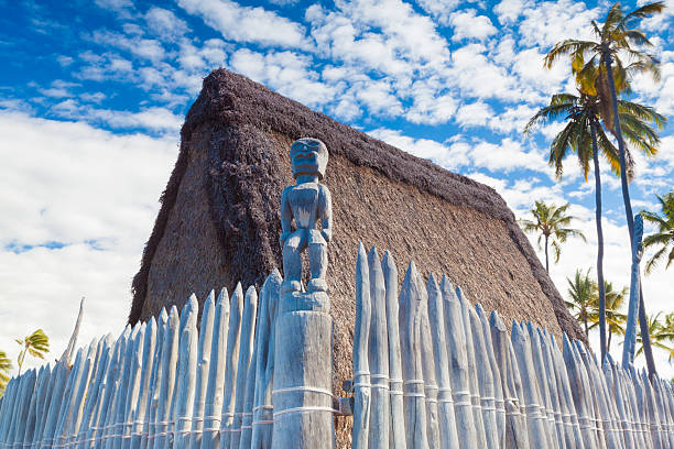 istock Hawaiian thatched roof dwellings 487001494