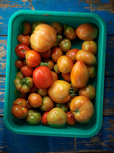 Red organic tomatoes stock photo