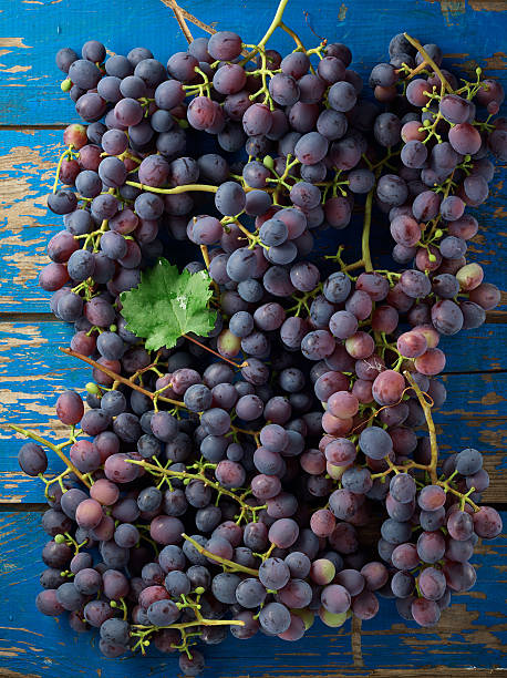 Dark grapes stock photo