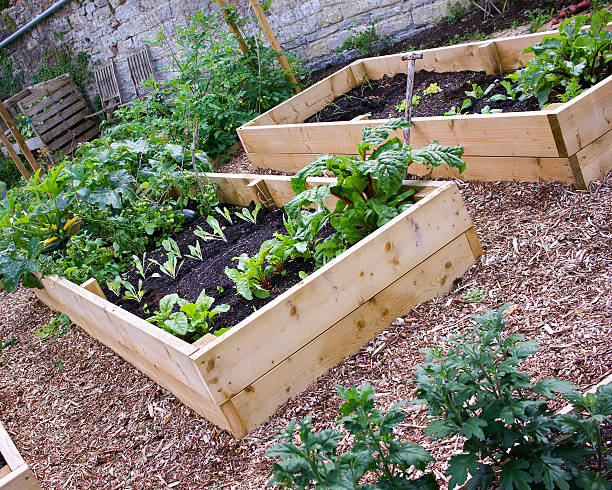 istock Rustic Country Vegetable & Flower Garden with Raised Beds 487003496